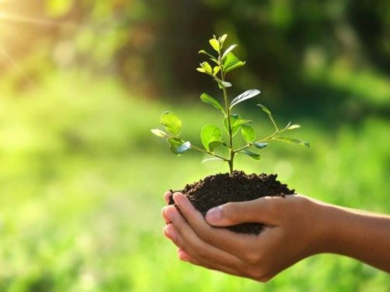 Plano de Intervenção