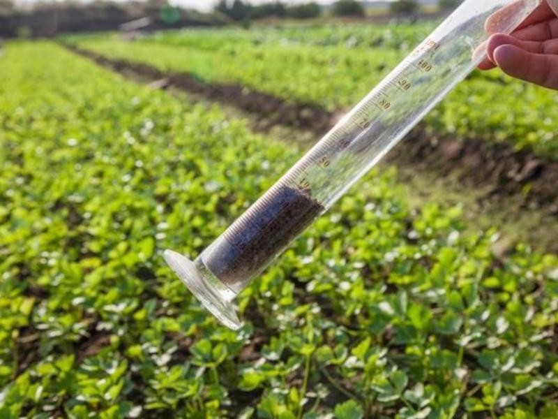 Amostragem e Análise de Solo